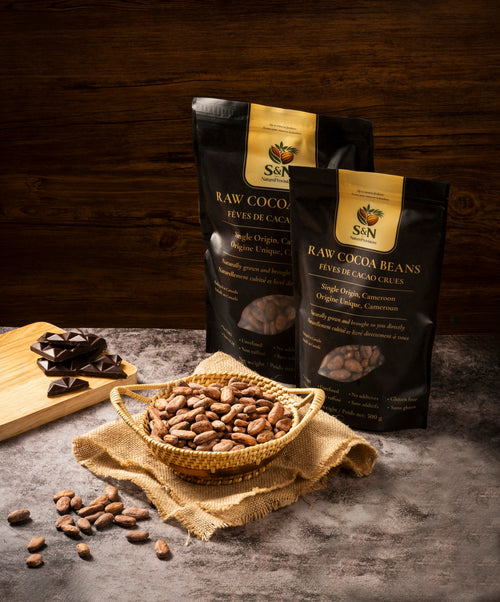 Single-Origin Premium Raw Dried Cocoa Beans